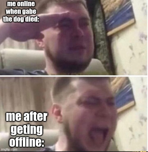 ): | me online when gabe the dog died:; me after geting offline: | image tagged in crying salute | made w/ Imgflip meme maker