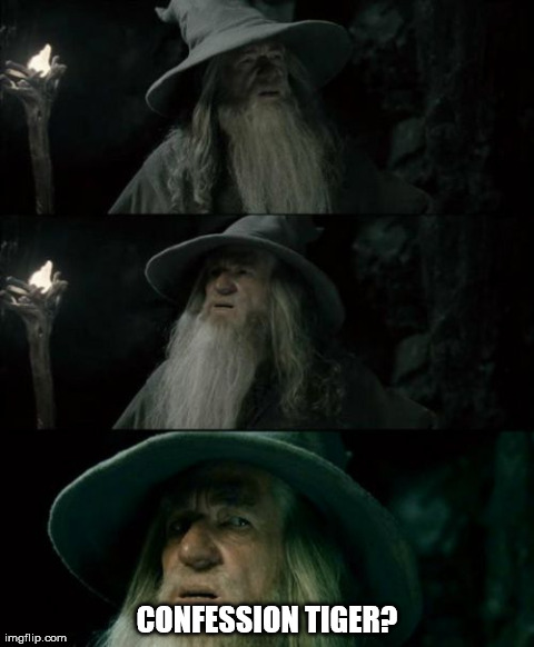 Confused Gandalf | CONFESSION TIGER? | image tagged in memes,confused gandalf,AdviceAnimals | made w/ Imgflip meme maker