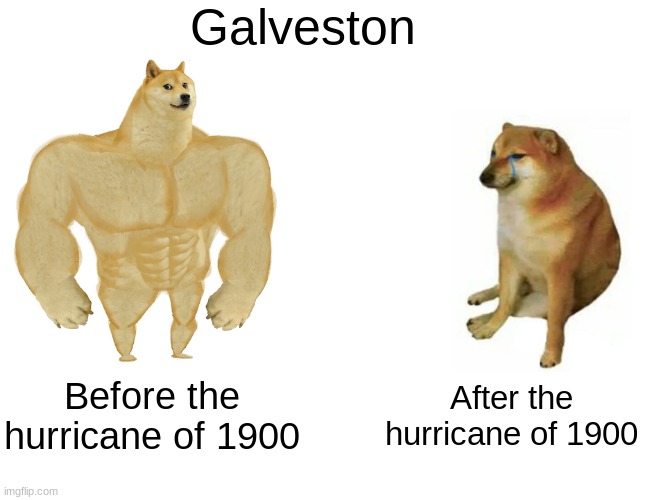 social studies work | Galveston; Before the hurricane of 1900; After the hurricane of 1900 | image tagged in memes,buff doge vs cheems | made w/ Imgflip meme maker