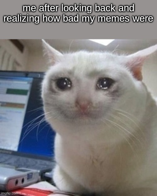 they were so bad... | me after looking back and realizing how bad my memes were | image tagged in crying cat | made w/ Imgflip meme maker
