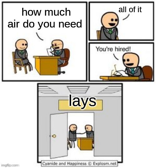 why do they do this to us | all of it; how much air do you need; lays | image tagged in your hired | made w/ Imgflip meme maker