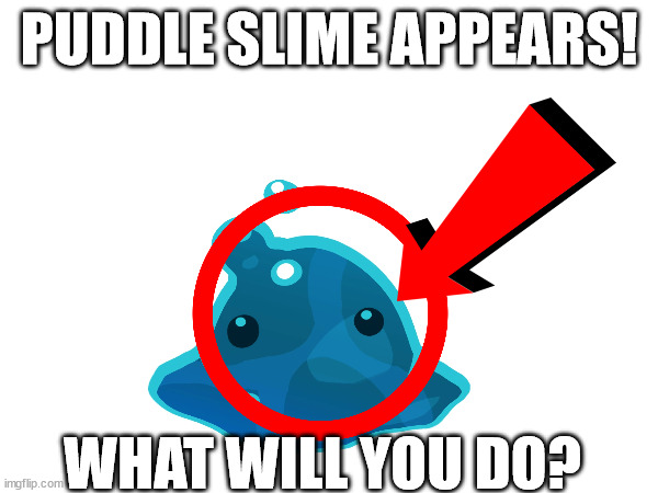 PUDDLE SLIME APPEARS! WHAT WILL YOU DO? | made w/ Imgflip meme maker