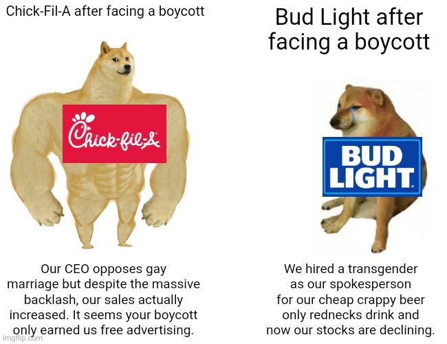 Your Chick-fil-A boycott didn't work but our Bud Light boycott did | Chick-Fil-A after facing a boycott; Bud Light after facing a boycott; Our CEO opposes gay marriage but despite the massive backlash, our sales actually increased. It seems your boycott only earned us free advertising. We hired a transgender as our spokesperson for our cheap crappy beer only rednecks drink and now our stocks are declining. | image tagged in memes,buff doge vs cheems,chick-fil-a,bud light,boycott,dylan mulvaney | made w/ Imgflip meme maker