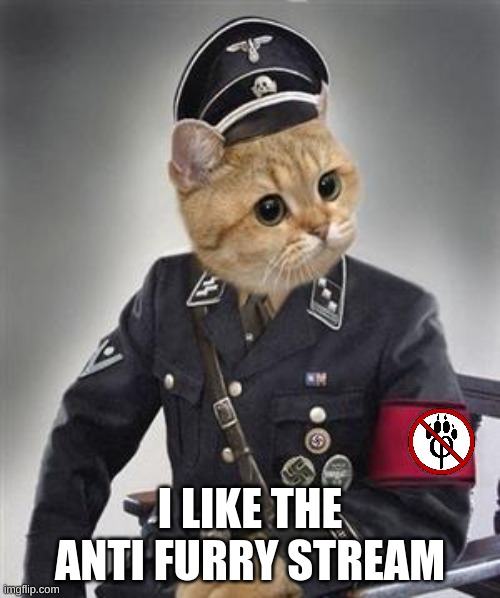 true | I LIKE THE ANTI FURRY STREAM | image tagged in grammar nazi cat | made w/ Imgflip meme maker