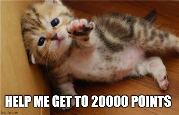 Help Me Kitten | HELP ME GET TO 20000 POINTS | image tagged in help me kitten | made w/ Imgflip meme maker