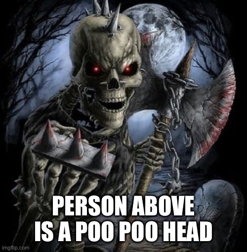 I regret nothing | PERSON ABOVE IS A POO POO HEAD | image tagged in bad ass skeleton | made w/ Imgflip meme maker