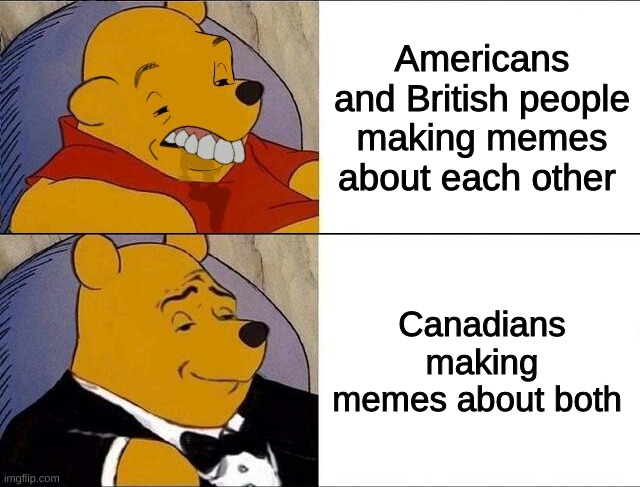 Canadians | Americans and British people making memes about each other; Canadians making memes about both | image tagged in cursed pooh tuxedo pooh | made w/ Imgflip meme maker