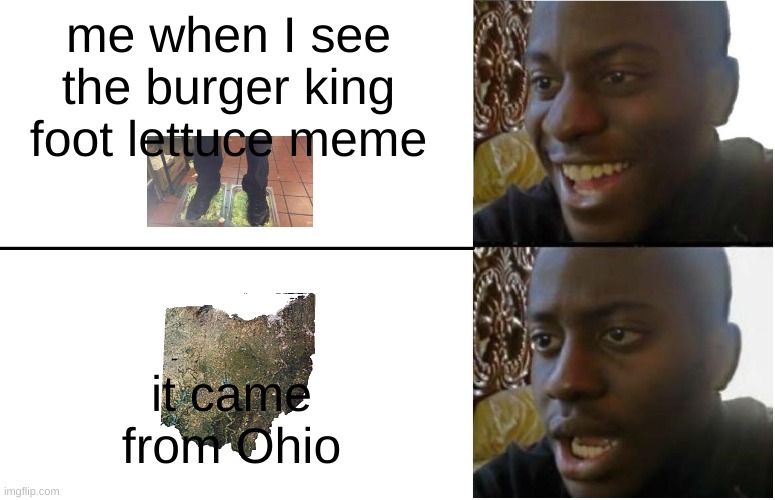 it true | me when I see the burger king foot lettuce meme; it came from Ohio | image tagged in disappointed black guy | made w/ Imgflip meme maker