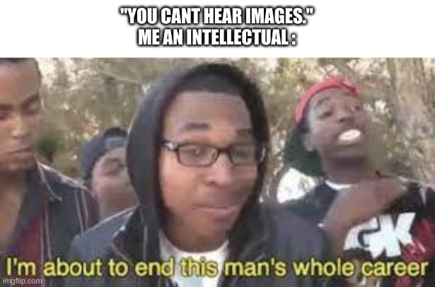 . | "YOU CANT HEAR IMAGES."
ME AN INTELLECTUAL : | image tagged in im about to end this man s whole career | made w/ Imgflip meme maker