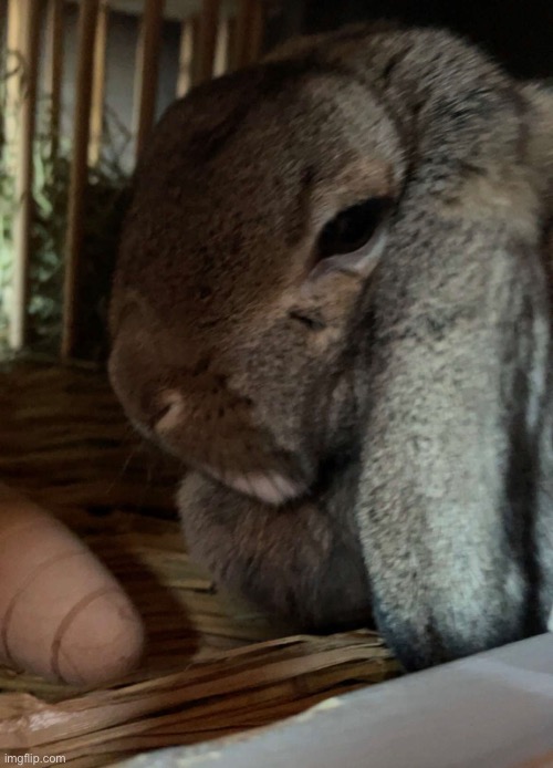 Heather :adorable_face: (credit to del who sent this through snapchat) | made w/ Imgflip meme maker