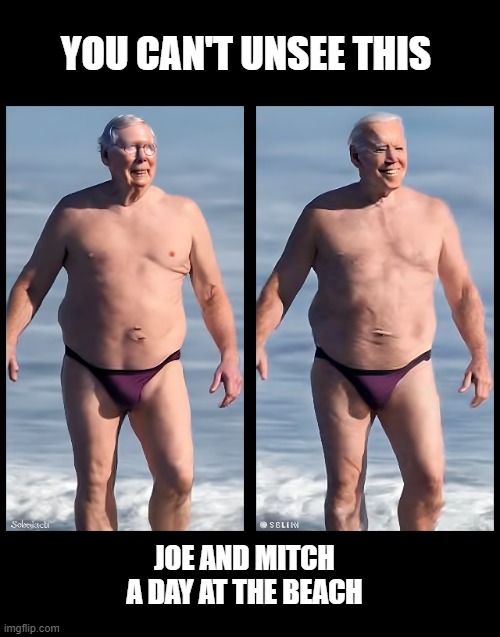 a day at the beach | YOU CAN'T UNSEE THIS; JOE AND MITCH A DAY AT THE BEACH | image tagged in mitch mcconnell,joe biden | made w/ Imgflip meme maker