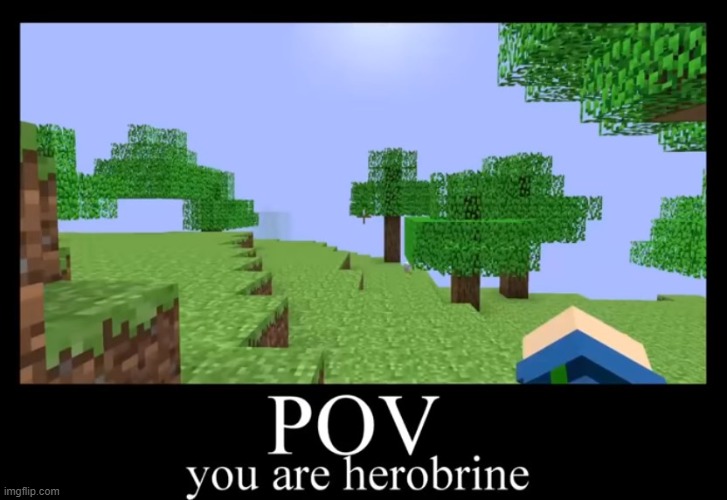 pov: you are herobrine (credit to squiddo) | image tagged in minecraft memes | made w/ Imgflip meme maker