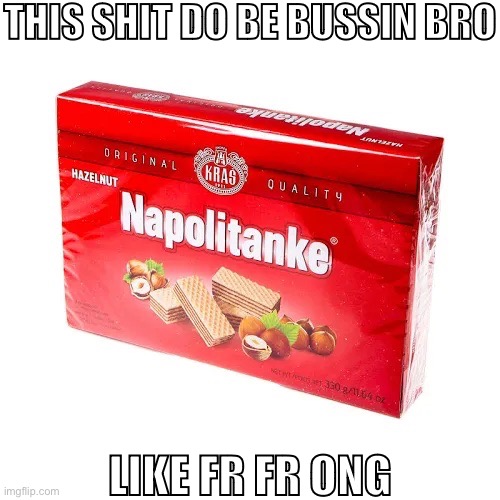 THIS SHIT DO BE BUSSIN BRO; LIKE FR FR ONG | made w/ Imgflip meme maker