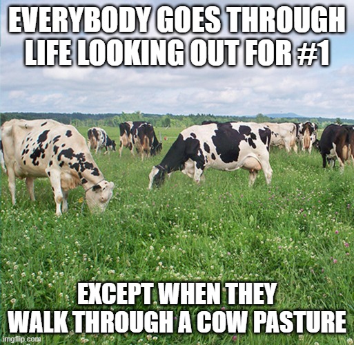 Number 2 | EVERYBODY GOES THROUGH LIFE LOOKING OUT FOR #1; EXCEPT WHEN THEY WALK THROUGH A COW PASTURE | image tagged in cows in pasture | made w/ Imgflip meme maker