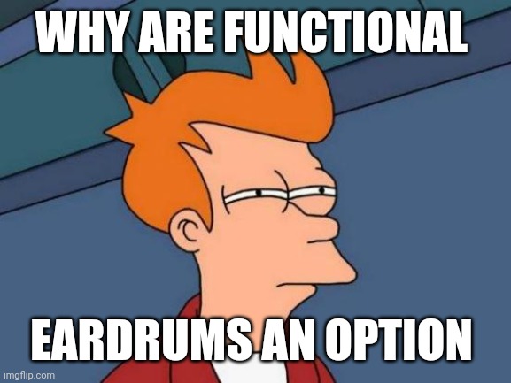 Futurama Fry | WHY ARE FUNCTIONAL; EARDRUMS AN OPTION | image tagged in memes,futurama fry | made w/ Imgflip meme maker