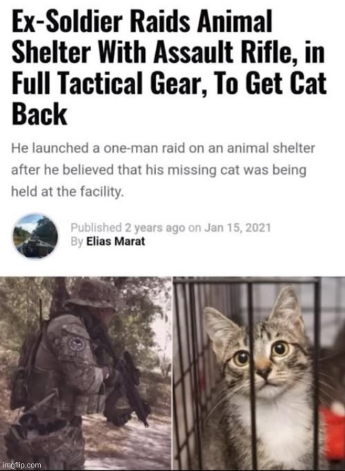 A true legend | image tagged in memes,cats,funny | made w/ Imgflip meme maker