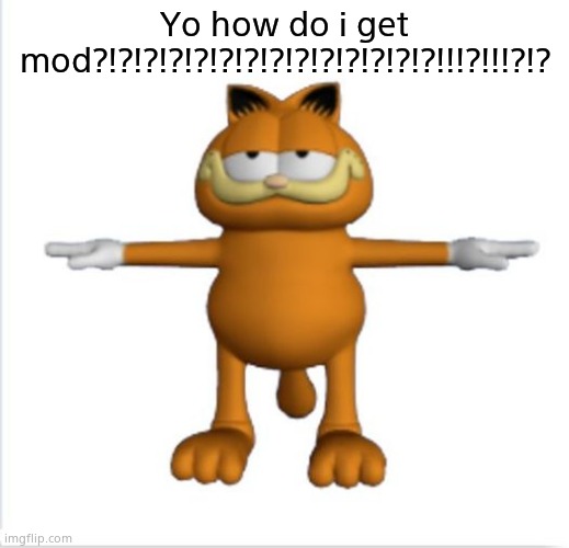 garfield t-pose | Yo how do i get mod?!?!?!?!?!?!?!?!?!?!?!?!?!?!!!?!!!?!? | image tagged in garfield t-pose | made w/ Imgflip meme maker