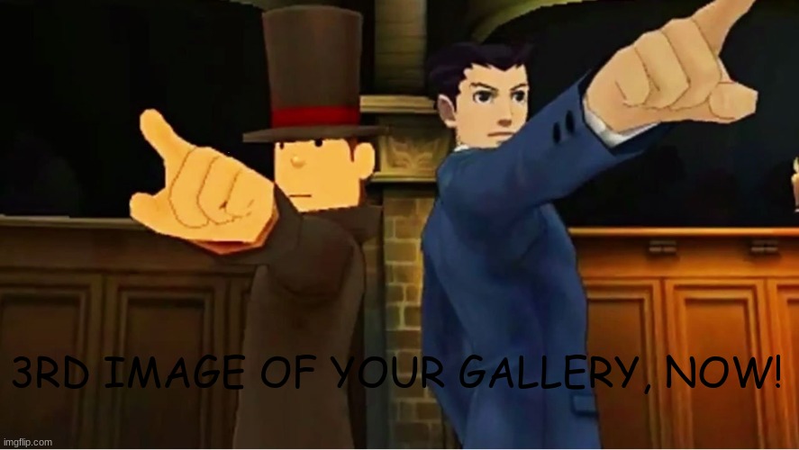 Phoenix and Layton | 3RD IMAGE OF YOUR GALLERY, NOW! | image tagged in phoenix and layton | made w/ Imgflip meme maker