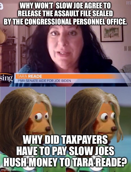 Yep | WHY WON’T  SLOW JOE AGREE TO RELEASE THE ASSAULT FILE SEALED BY THE CONGRESSIONAL PERSONNEL OFFICE. WHY DID TAXPAYERS HAVE TO PAY SLOW JOES HUSH MONEY TO TARA READE? | image tagged in tara reade asks | made w/ Imgflip meme maker