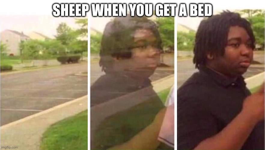 this is so annoying | SHEEP WHEN YOU GET A BED | image tagged in visibility | made w/ Imgflip meme maker