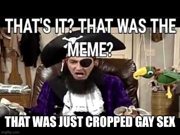 that's it? that's was the meme? | THAT WAS JUST CROPPED GAY SEX | image tagged in that's it that's was the meme | made w/ Imgflip meme maker