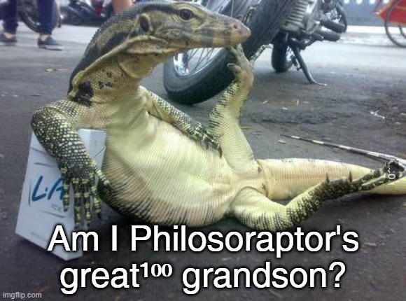 Philosoraptor's descendant | Am I Philosoraptor's great¹⁰⁰ grandson? | image tagged in philosoraptor lizard,monitor,philosophy | made w/ Imgflip meme maker
