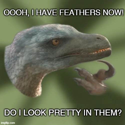 Philosoraptor new fashion | OOOH, I HAVE FEATHERS NOW! DO I LOOK PRETTY IN THEM? | image tagged in new philosoraptor | made w/ Imgflip meme maker