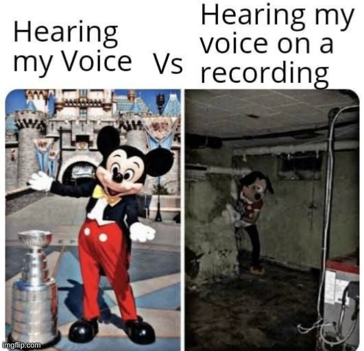 image tagged in memes,funny | made w/ Imgflip meme maker