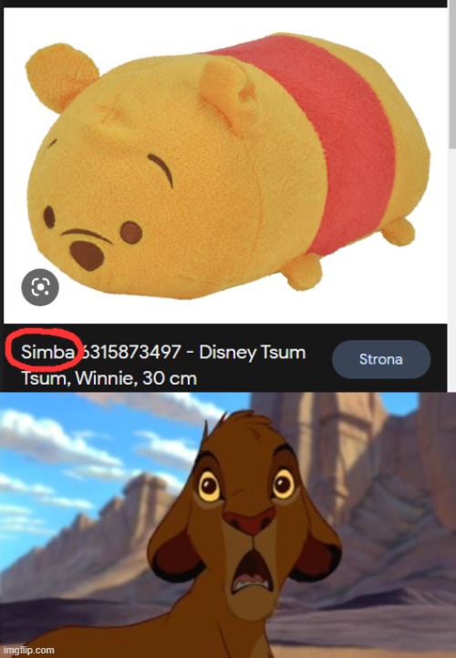 That's not Simba! | image tagged in scared simba,you had one job,memes,funny | made w/ Imgflip meme maker