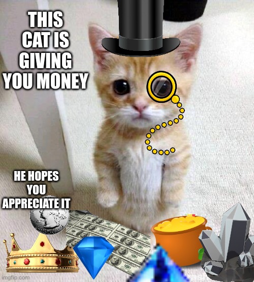 Cute Cat Meme | THIS CAT IS GIVING YOU MONEY; HE HOPES YOU APPRECIATE IT | image tagged in memes,cute cat | made w/ Imgflip meme maker