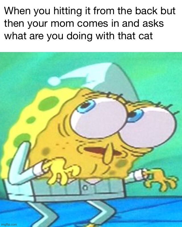 image tagged in memes,funny | made w/ Imgflip meme maker