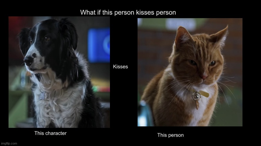 if roger kissed gwen | image tagged in what if this person kisses character,warner bros,dogs,cats,romance | made w/ Imgflip meme maker