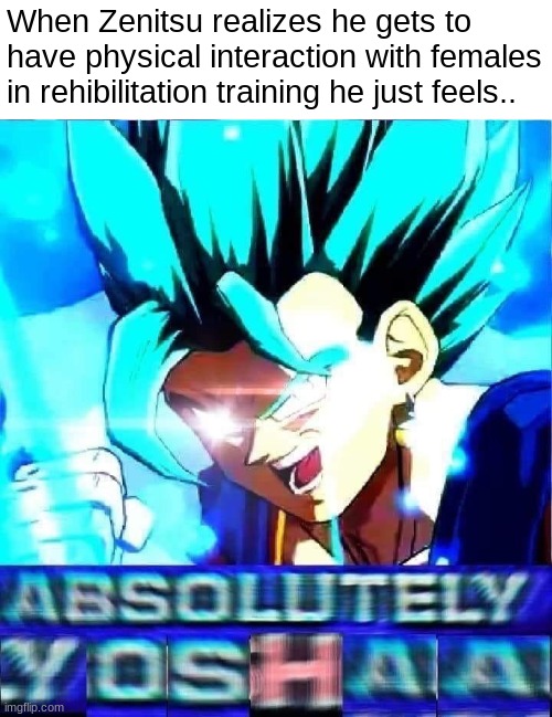 YOSHAAA!!!! -Vegito | When Zenitsu realizes he gets to have physical interaction with females in rehibilitation training he just feels.. | image tagged in absolutely yoshaa | made w/ Imgflip meme maker