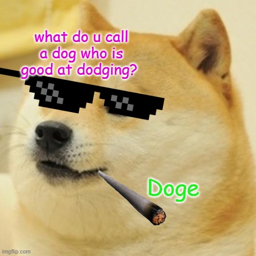 if doge is amazing upvote | what do u call a dog who is good at dodging? Doge | image tagged in memes,doge | made w/ Imgflip meme maker