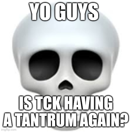 :skull | YO GUYS; IS TCK HAVING A TANTRUM AGAIN? | image tagged in skull | made w/ Imgflip meme maker