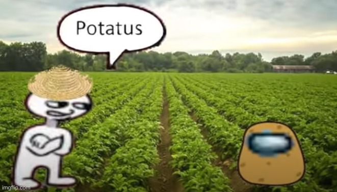 Potatus | image tagged in among us | made w/ Imgflip meme maker