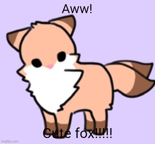 Cute fox | Aww! Cute fox!!!!! | image tagged in cute fox looks at you weirdly,cute,fox | made w/ Imgflip meme maker