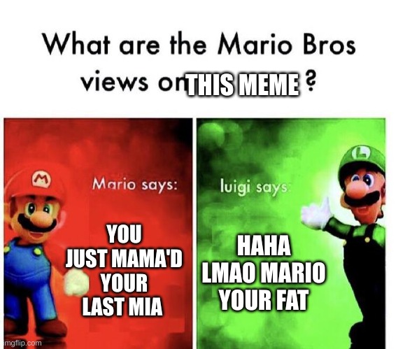 Mario Bros Views | YOU JUST MAMA'D YOUR LAST MIA HAHA LMAO MARIO YOUR FAT THIS MEME | image tagged in mario bros views | made w/ Imgflip meme maker