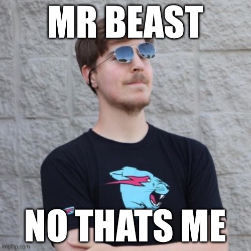 Mr. Beast | MR BEAST; NO THATS ME | image tagged in mr beast | made w/ Imgflip meme maker