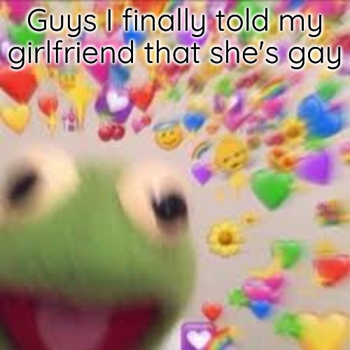 I’m a woman | Guys I finally told my girlfriend that she's gay | image tagged in kermit with hearts | made w/ Imgflip meme maker