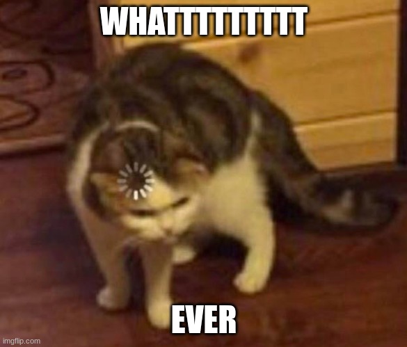 Thinking Cat | WHATTTTTTTTT; EVER | image tagged in thinking cat | made w/ Imgflip meme maker