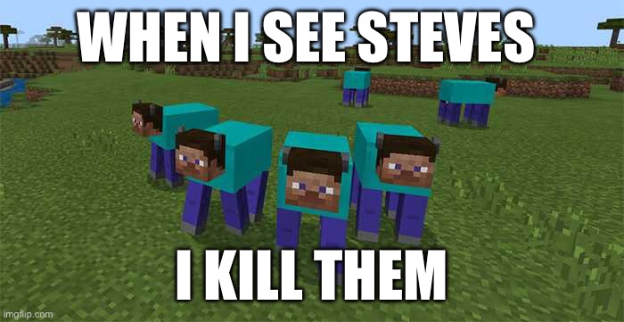 me and the boys | WHEN I SEE STEVES; I KILL THEM | image tagged in me and the boys | made w/ Imgflip meme maker