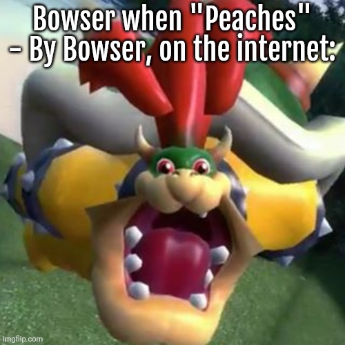 Bowser on LSD | Bowser when "Peaches" - By Bowser, on the internet: | image tagged in bowser on lsd | made w/ Imgflip meme maker