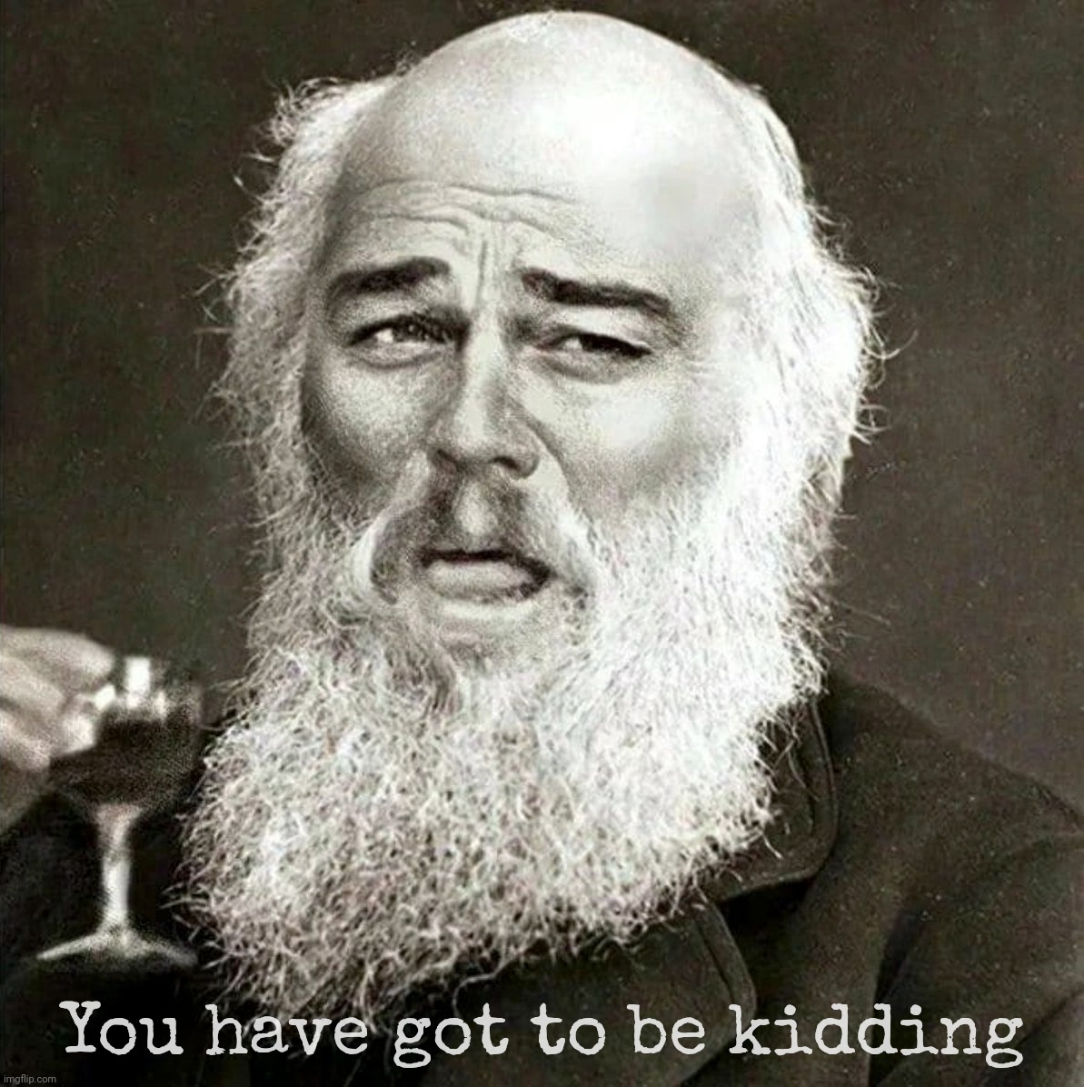 Laughing Leonardo DeCaprio Django Darwin | You have got to be kidding | image tagged in laughing leonardo decaprio django darwin | made w/ Imgflip meme maker