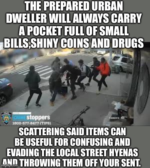yep | THE PREPARED URBAN DWELLER WILL ALWAYS CARRY A POCKET FULL OF SMALL BILLS,SHINY COINS AND DRUGS; SCATTERING SAID ITEMS CAN BE USEFUL FOR CONFUSING AND EVADING THE LOCAL STREET HYENAS AND THROWING THEM OFF YOUR SENT. | image tagged in crime | made w/ Imgflip meme maker