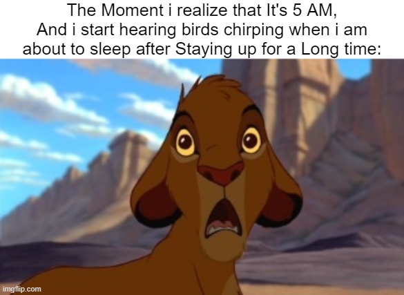Staying up all night that much? | The Moment i realize that It's 5 AM, And i start hearing birds chirping when i am about to sleep after Staying up for a Long time: | image tagged in scared simba,sleep,relatable memes,so true memes,memes,funny | made w/ Imgflip meme maker
