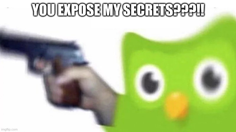 duolingo gun | YOU EXPOSE MY SECRETS???!! | image tagged in duolingo gun | made w/ Imgflip meme maker