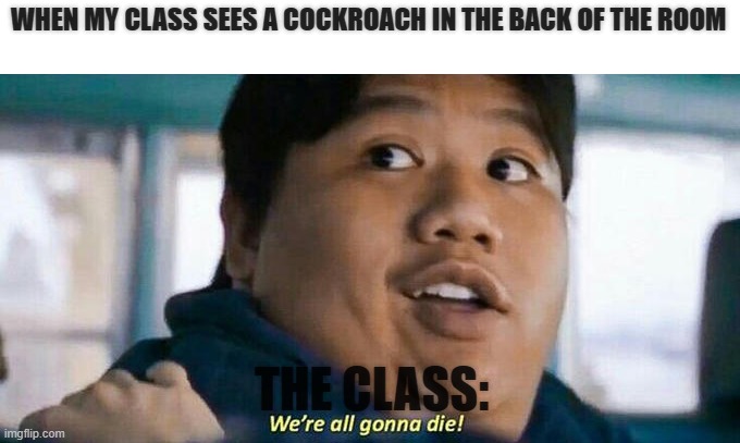 The Class Be Like.. | WHEN MY CLASS SEES A COCKROACH IN THE BACK OF THE ROOM; THE CLASS: | image tagged in we're all gonna die,cockroach,theclass,classroom | made w/ Imgflip meme maker