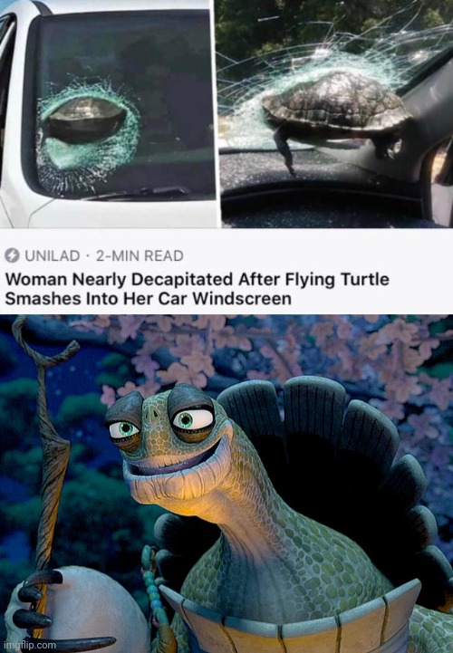 The flying turtle | image tagged in kung fu panda turtle,reposts,repost,flying,turtle,memes | made w/ Imgflip meme maker