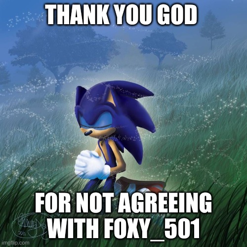i'm proud | THANK YOU GOD; FOR NOT AGREEING WITH FOXY_501 | image tagged in thank you god | made w/ Imgflip meme maker